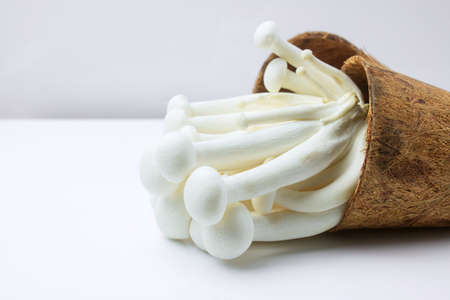 Shimeji mushroom or White beech mushroom on rustic wooden background. Shimeji is highly nutritious, rich in calcium, potassium, and help in managing diabetes, weight & cholesterol.の写真素材