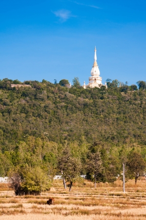 temple on the hill, thailandの写真素材