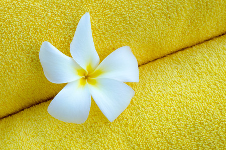 Yellow towel and white flower use as backgroundの写真素材