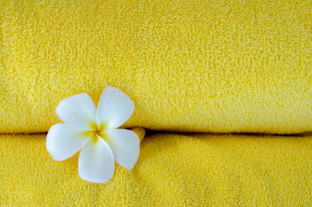 Yellow towel and white flower use as backgroundの写真素材