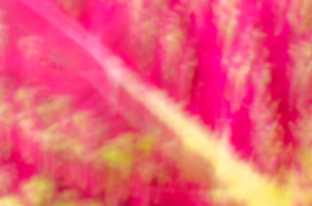 Blurred colorful abstract backgroundの写真素材