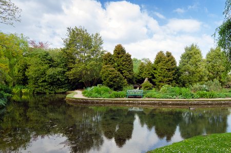 Beatiful Nature Park With Bench And Water Reflection In Spring Seasonの写真素材