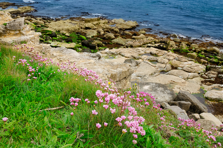 The Coast Of Isle Of Portland, Jurassic Coast, Dorset, UK In Spring Season On May 2017の写真素材
