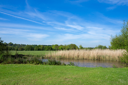 Harnham Water Meadow, Town Path, Salisbury, England In Spring Seasonの写真素材