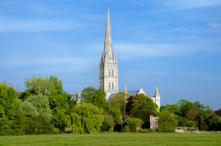 Salisbury Cathedral With Green Park In Spring Season, Salisbury, Englandの写真素材