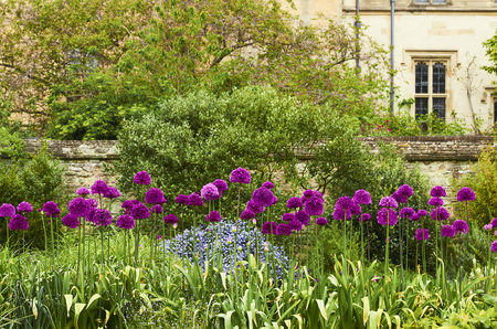 Beatiful Garden Of Christ Church War Memorial In Spring Season, Oxford, Englandの写真素材