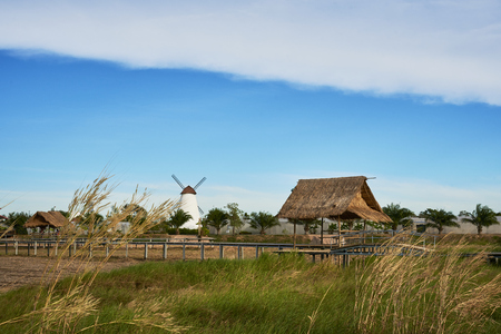 Countryside Landscape With Walkway Above Harvested Field And Beautiful Blue Skyの写真素材