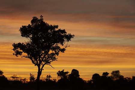 Beautiful Sky Color During Sunset, Landscape In Ubonratchathani Province, Thailandの写真素材