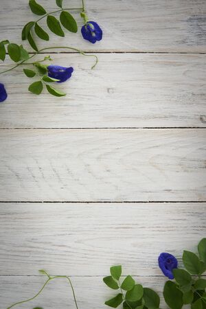 Wooden Fence Background And Blue Flowers. Nature Background.の写真素材