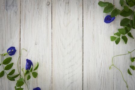Wooden Fence Background And Blue Flowers. Nature Background.の写真素材
