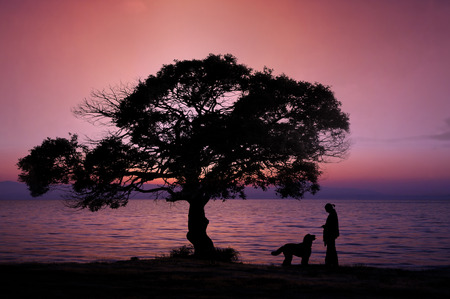 Women and dog silhouette to walk the evening
