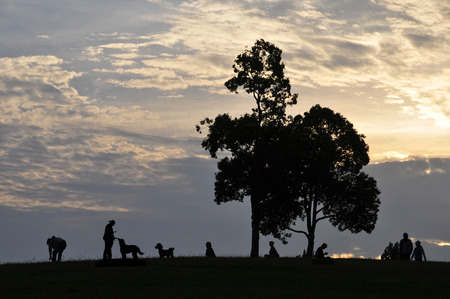 Silhouette of people to walk in the eveningの写真素材