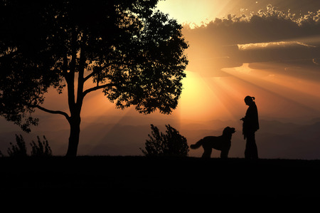 Women and dog silhouette to walk the eveningの写真素材