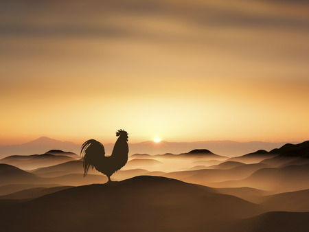 3D illustration of sunrise and a chickenの写真素材