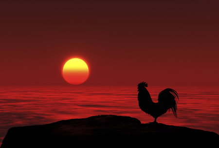 3D illustration of sunrise and a chickenの写真素材