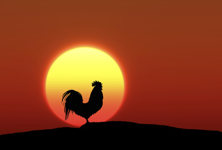 3D illustration of sunrise and a chickenの写真素材