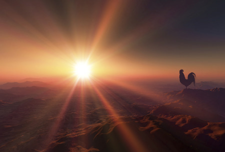 3D illustration of sunrise and a chickenの写真素材