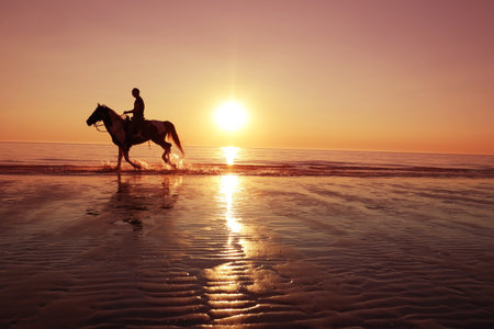 Beach vibes with horse ridingの写真素材