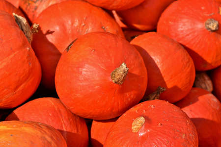HD Food Background Imagesの写真素材
