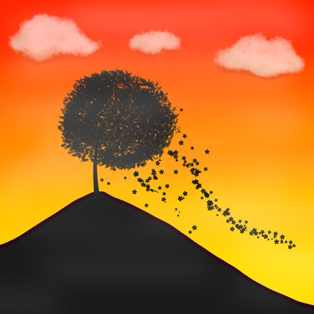 Tree on the hill sunset sky wallpaper backgroundの写真素材