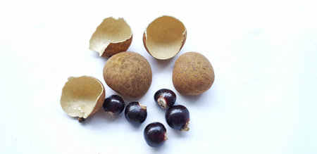 Eggs of longan on a white background. Close up.の写真素材