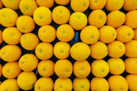 Many Orange Valencia sell in Thailand They have very sweet and deliciousの写真素材