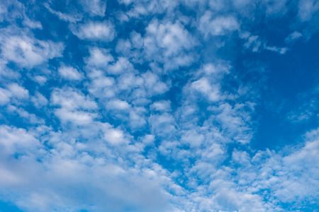 The blue sky and white cloud in morning