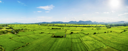 The sky is bright in the daytime blue sky with cloud, Front view green fields are many tables, Rice is an very important food of human, The countryside is a major crop.
の写真素材