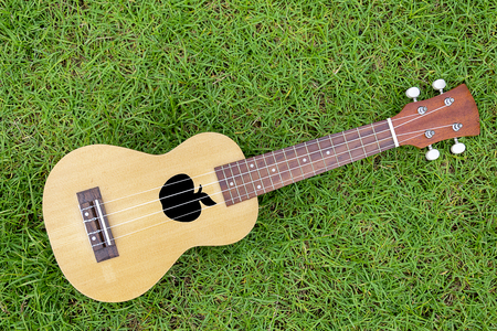 Ukulele Ukulele on the grass,The meaning of the word is separated into two words,uku which means gift or reward,lele means acquisition,So when two words are combined,Means that The Gift That Has Beenの写真素材