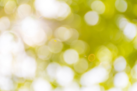 Green background.A beautiful bokeh is eye-catching.Natural colors look attractive.の写真素材