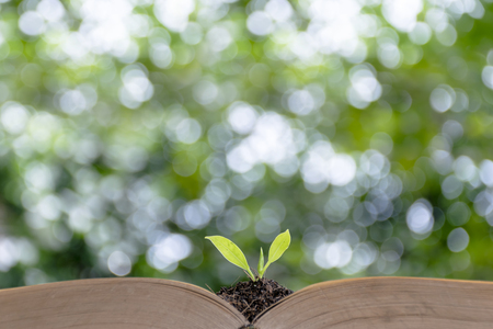Education is very important for everyone, the book is turned out, there is a soil on it, the tree is growing.の写真素材
