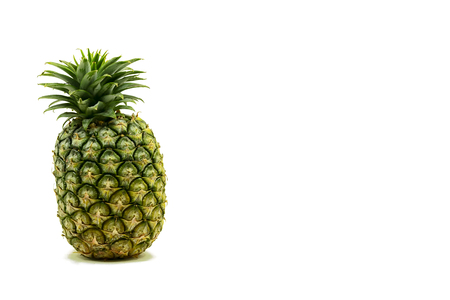 One pineapple fruit / hawaiian pineapples, White background. Empty space for textの写真素材