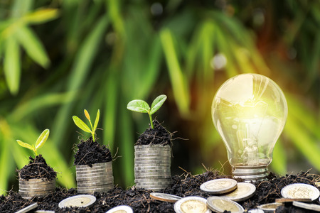 Energy saving light bulb and tree growing on stacks of coins on nature background. Saving, accounting and financial concept. Electric power costs are high.の写真素材