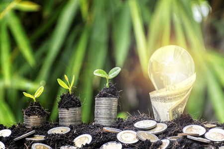 Energy saving light bulb wrapped with a dollar and tree growing on stacks of coins on nature background. Saving, accounting and financial concept. Electric power costs are high.の写真素材
