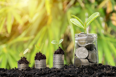 Financial growth is the business sector needs. The coin stacked above the tree is growing. There are a dozen glasses with full coin above the tree is growing.の写真素材