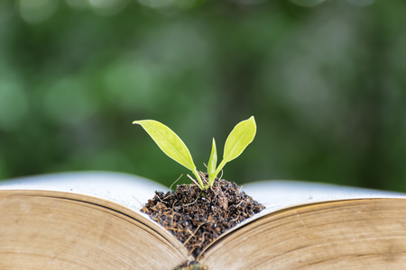 Education is very important for everyone, the book is turned out, there is a soil on it, Increase intelligence, the tree is growing.の写真素材