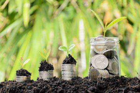Financial growth is the business sector needs. The coin stacked above the tree is growing. There are a dozen glasses with full coin above the tree is growing.の写真素材