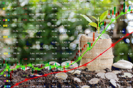 Plant growth is comparable to financial growth, a pile of coin placed,Brown bag filled with coins in it, a growing tree. Stock chart and Graphs are growing.の写真素材