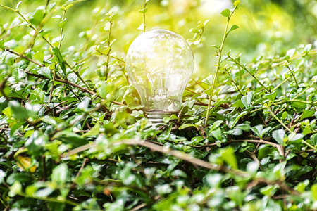 Natural energy is Light bulb in green leaves. Ecology concept of global show the world's consumption. sustainable development.の写真素材