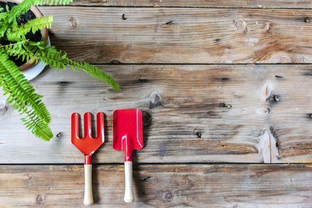 planting equipment. Trowel, Shovel placed on wooden boards. Planning must be systematic.の写真素材