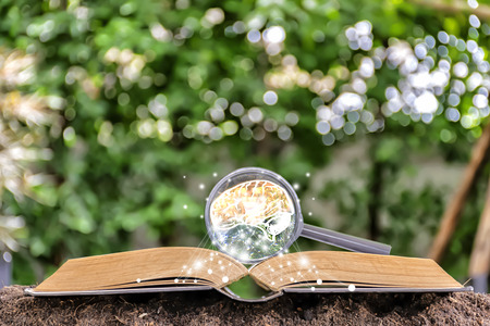 Books are treasures of knowledge. The book is placed on a pile of earth and has a magnifying glass. Brain Image from Graphic is like more intelligent.の写真素材