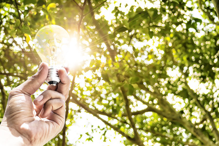 Solar is the energy that the world needs. Because it is natural energy, energy is environmentally friendly. The sun shines through the leaves until it becomes a ray of light. Hand holding lamp.の写真素材