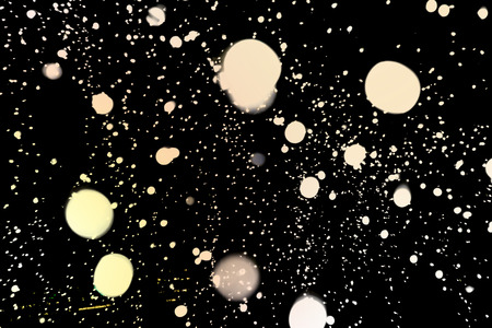 Gold abstract bokeh background. Floating in the air.の写真素材