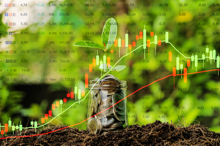 Financial investment concept, Stock graphs are rising. The financial growth generated by the investment. The economy is continuing to improve. Dozen glasses with a full coin, The tree is growing.の写真素材