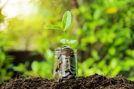 Financial investment concept. The financial growth generated by the investment. The economy is continuing to improve. Dozen glasses with a full coin, The tree is growing.の写真素材