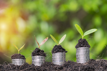 Business growth concept. Financial growth is the business sector needs. The coin stacked above the tree is growing. The continued expansion of investment sector.の写真素材