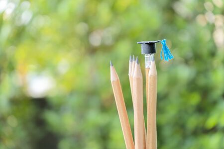 Concept of educational success. A small graduation cap is worn in a pencil, The background is natural, the bushes look bright.の写真素材