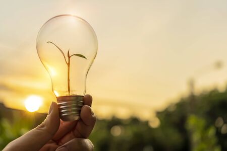 Ecology energy concept. The hand holding the lamp has bright light. And inside the tube there is a growing tree.の写真素材