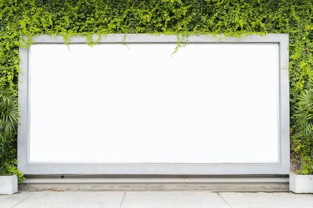 Billboards concept. Installed as a rectangle on the wall. and trees as an element, The floor is empty, can be put on advertising media.の写真素材