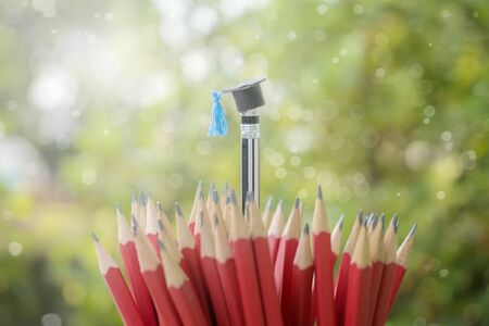 Educational success resulting from differences in thinking, decision-making process, learning,interest. The Graduation cap model is worn in a black and white pencil, combined with many red pencils.の写真素材